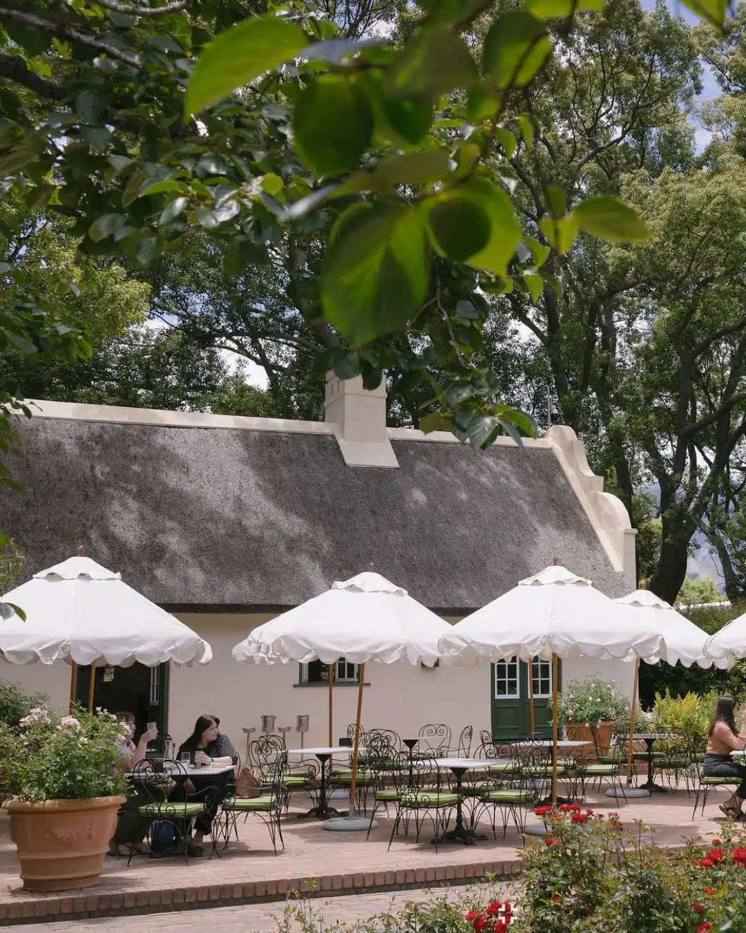 Vergelegen Estate
