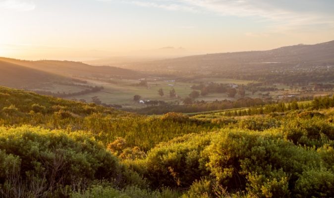 Land Conservation at Vergelegen